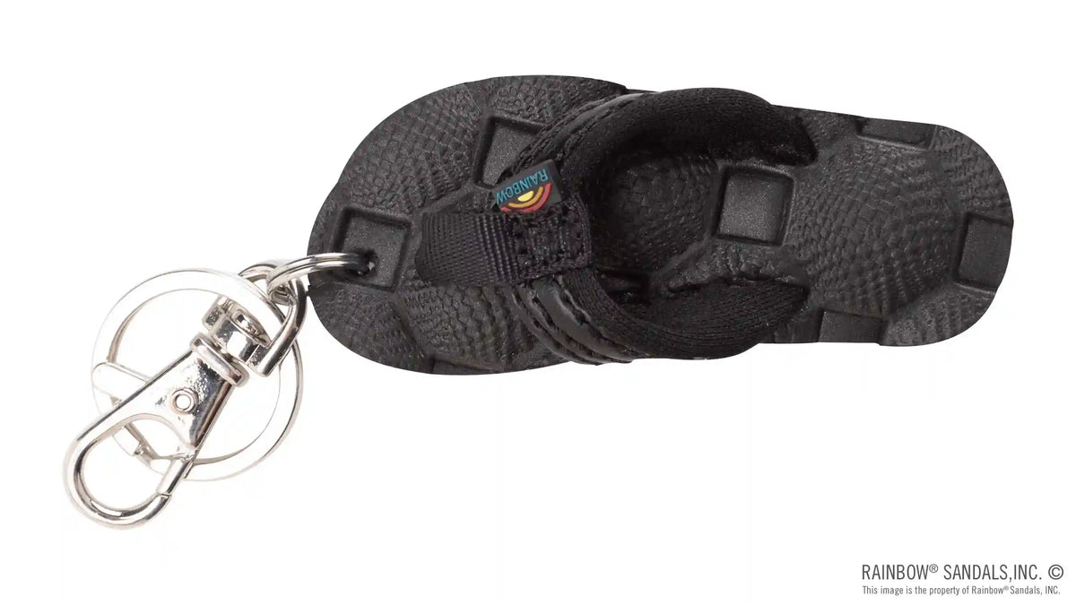 HoloHolo Key Chain
