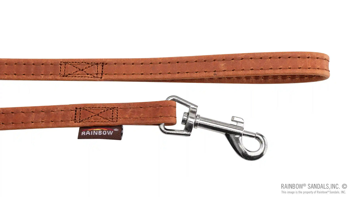 Leather Dog Leash - Assorted Widths